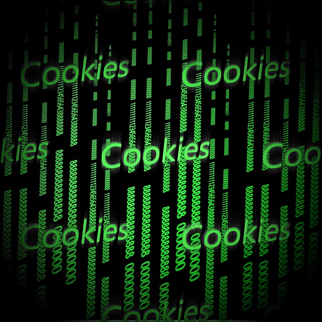 Hinweise zur Verwendung von Cookies